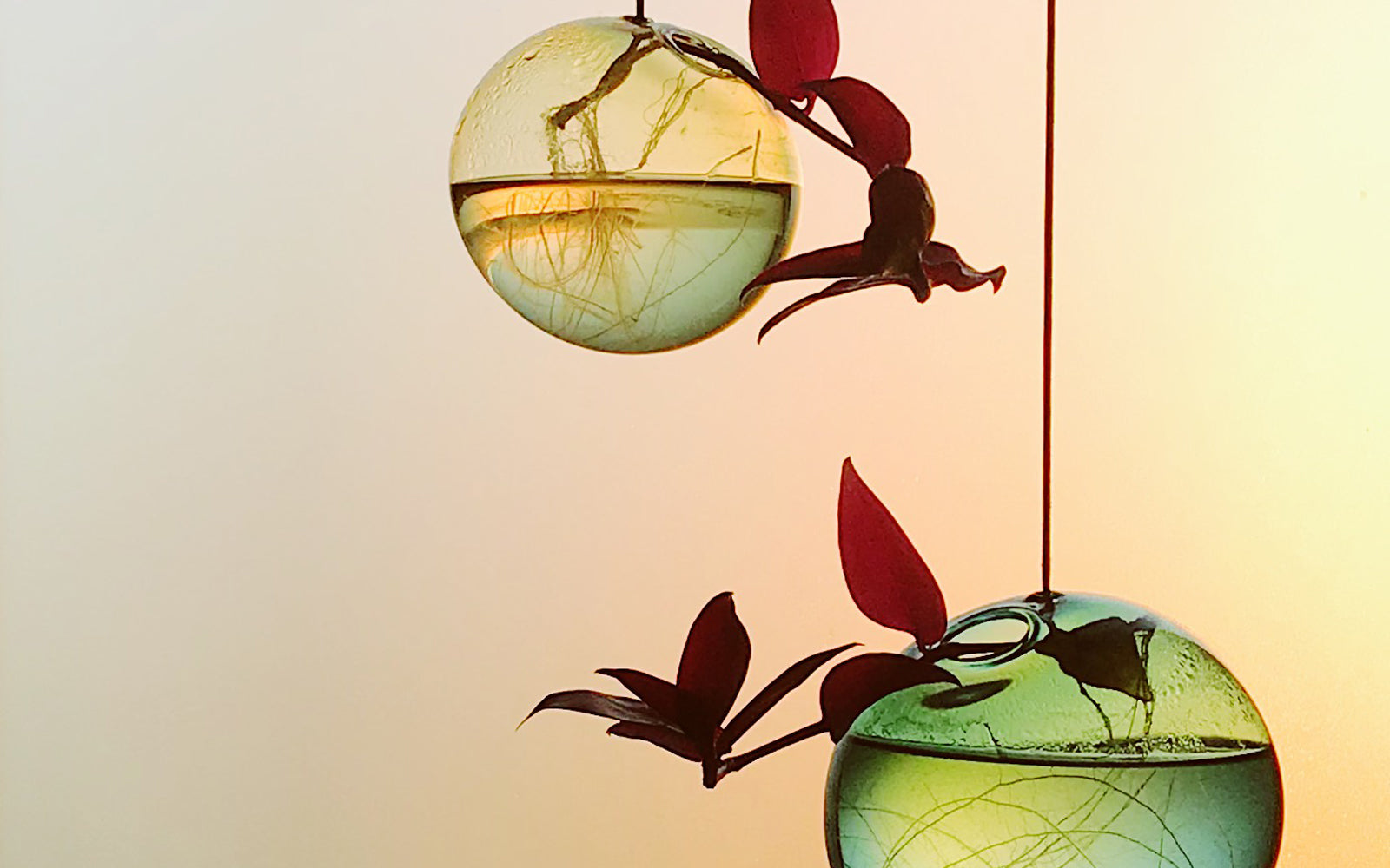 hanging-bubbles-haengevaser