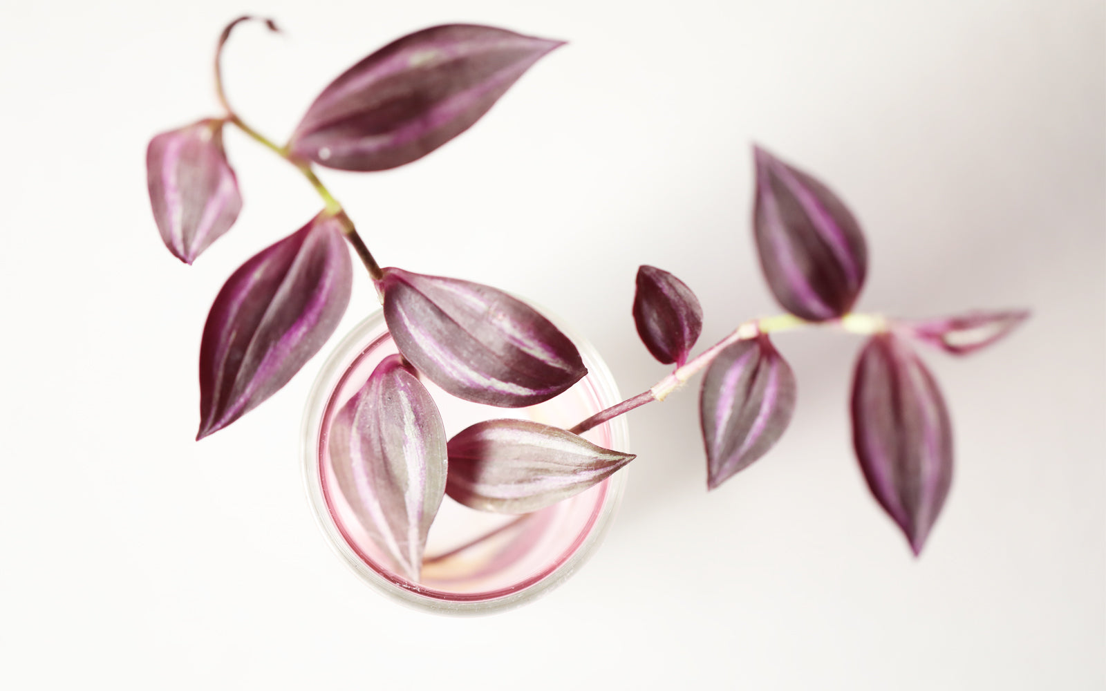 standing-bubbles-glasvaser