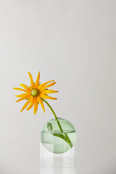 STEHENDE BLUMEN BUBBLE, NIEDRIGES ROHR, GRÜN