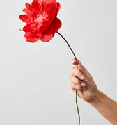 PAPER FLOWER, ORIENTAL POPPY, RED