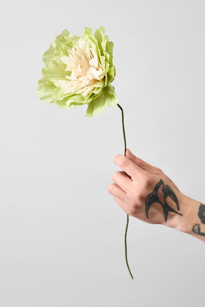 PAPIERBLUME, GEMÜSE-ROSE, GRÜN