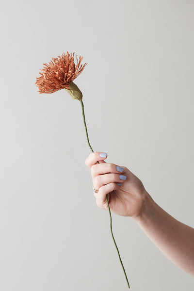 PAPIERBLUMEN, CHRYSANTHEMUM, DUNKEL OCHRE
