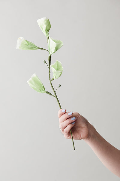 PAPIERBLUMEN, TINKERBELL, GRÜN