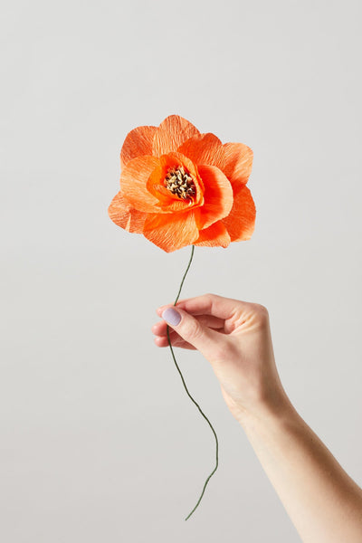PAPIERBLUMEN, POPPY, ROT