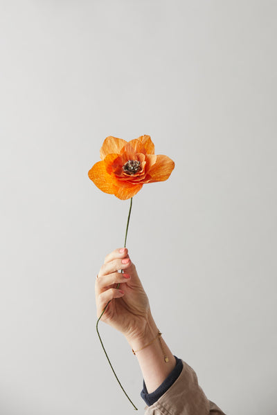 PAPIERBLUMEN, POPPY, ORANGE