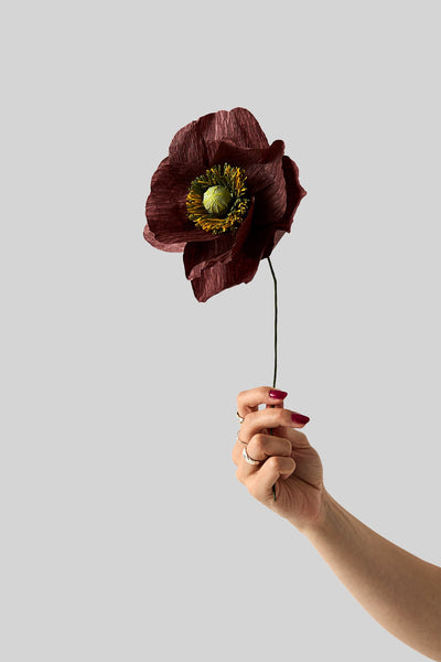 PAPIERBLUME, MOHNBLUME, BRAUN