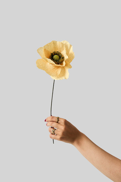 PAPIERBLUME, MOHNBLUME, ZARTPFIRSICH