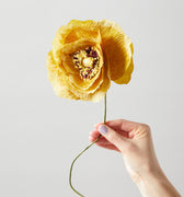 PAPER FLOWER, ICE POPPY, OCHRA