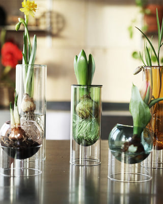 flower-tubes-glasvaser