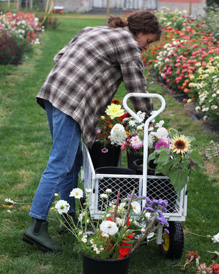 NATURLIGE OG LOKALE BLOMSTER - BLOMSTERDYRKNING I DANMARK
