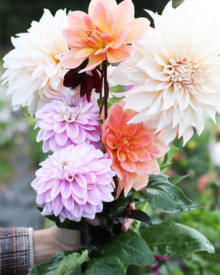 DANSKE BLOMSTER OG BLOMSTERBØNDER