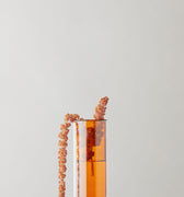 FLOWER TUBE, TALL TUBE, AMBER