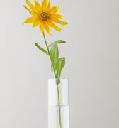 FLOWER TUBE, TALL TUBE, TRANSPARENT