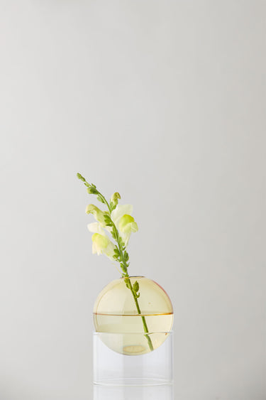 STEHENDE BLUMEN BUBBLE, NIEDRIGES ROHR, GELB