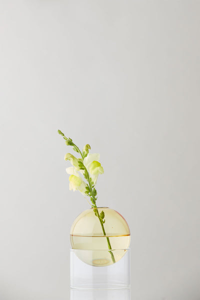 STEHENDE BLUMEN BUBBLE, NIEDRIGES ROHR, GELB