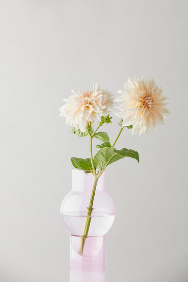 BUBBLE TUBE, GROß, ROSE