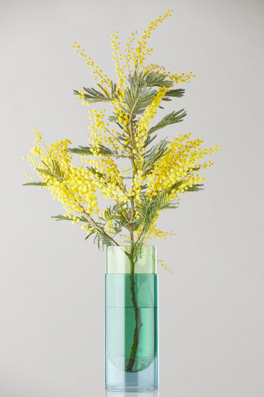 BOUQUET TUBE, GROSS, GRÜN