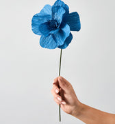 PAPER FLOWER, HIMALAYAN POPPY, BLUE