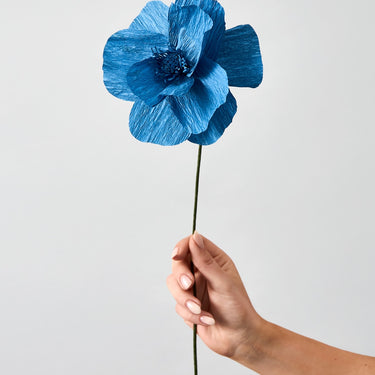 PAPER FLOWER, HIMALAYAN POPPY, BLUE