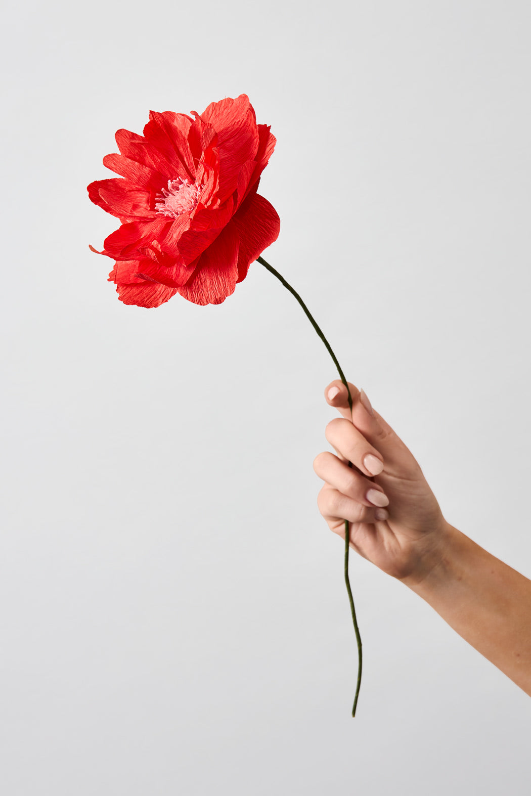 PAPER FLOWER, ORIENTAL POPPY, RED