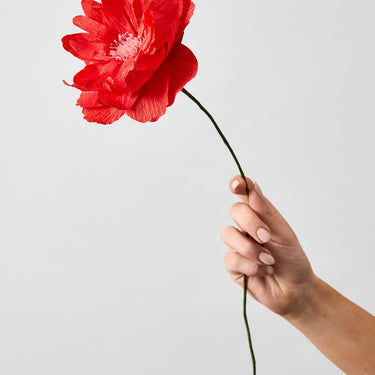 PAPER FLOWER, ORIENTAL POPPY, RED