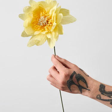 PAPER FLOWER, COTTAGE ROSE, YELLOW