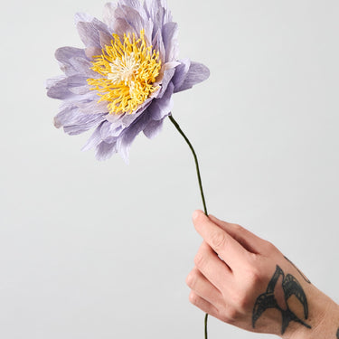 PAPER FLOWER, COTTAGE ROSE, PURPLE