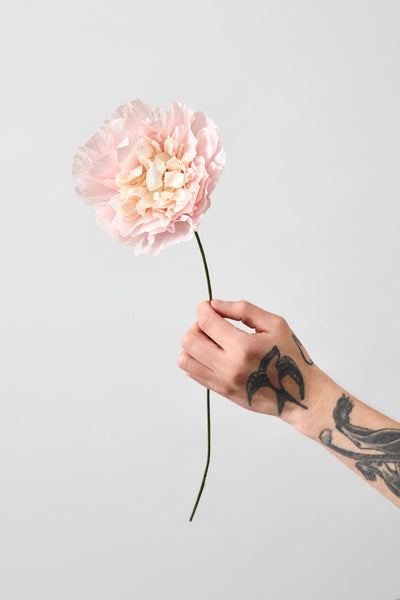 PAPIERBLUME, VEGGIE ROSE, ROSE