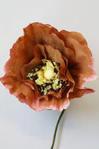 PAPER FLOWER, ICE POPPY, DARK OCHRE