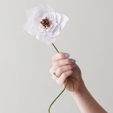 PAPER FLOWER, POPPY, PURPLE