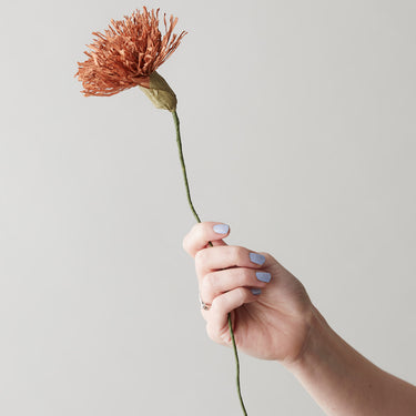 PAPER FLOWER, CHRYSANTHEMUM, DARK OCHRE