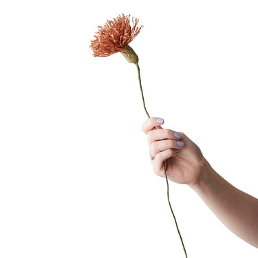 PAPER FLOWER, CHRYSANTHEMUM, DARK OCHRE