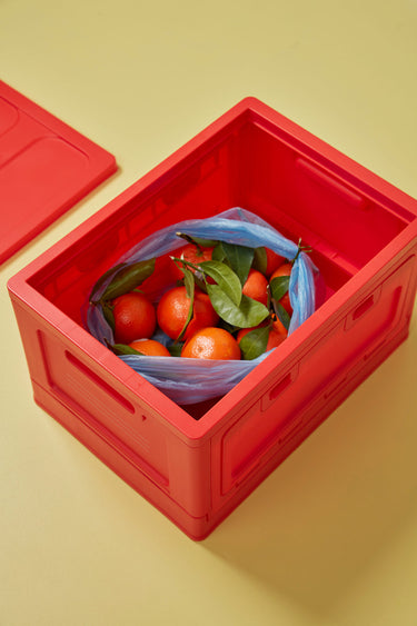 BOX, GROSS, ROT