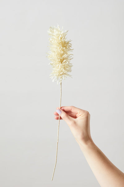 PAPER FLOWER, PAMPAS, SAND