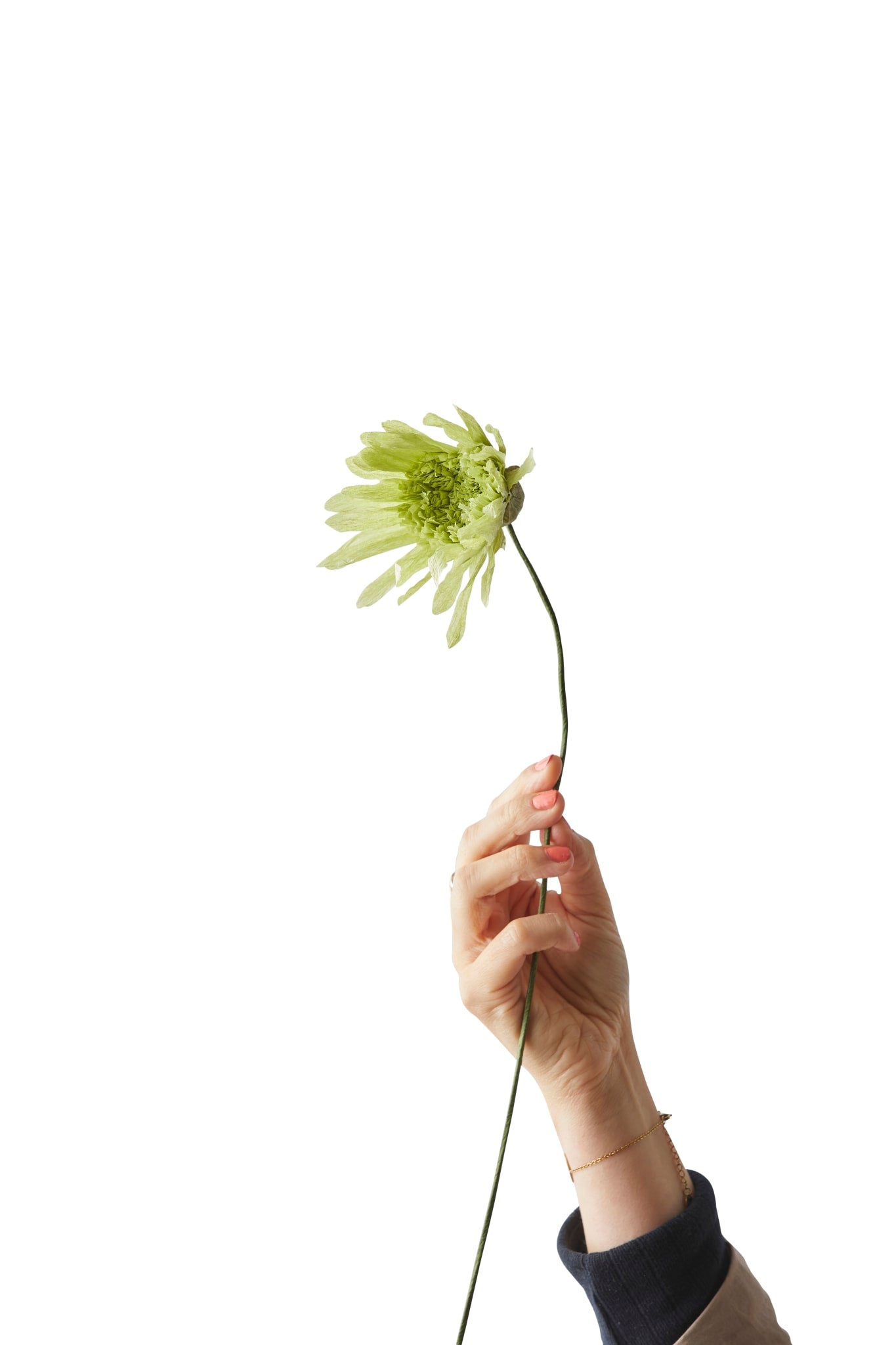 PAPIERBLUMEN, KIRSCHFLAUM, GRÜN