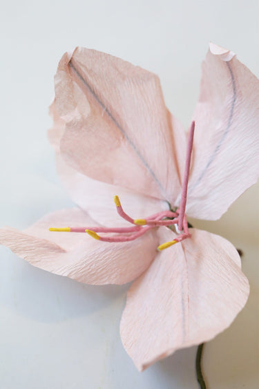 PAPIERBLUMEN, LILIE, ROSA