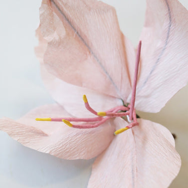 PAPER FLOWER, LILY, ROSE