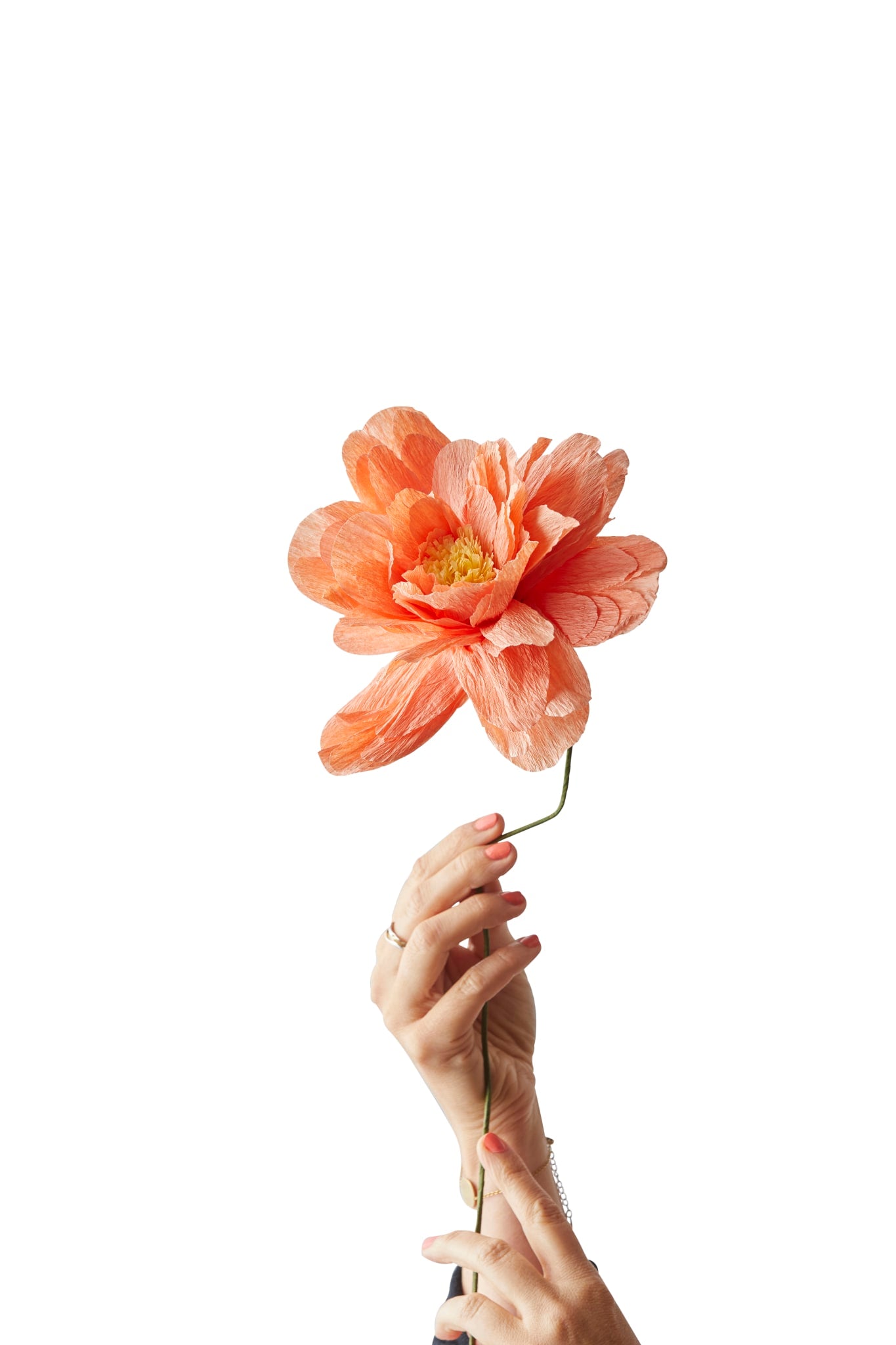 PAPER FLOWER, GRAND PEONY, PEACH, 170480P