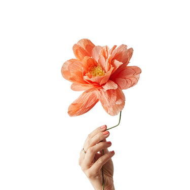 PAPER FLOWER, GRAND PEONY, PEACH, 170480P