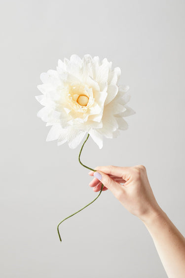 PAPER FLOWER, GRAND DAHLIA, SAND