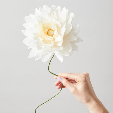 PAPER FLOWER, GRAND DAHLIA, SAND, 160460S