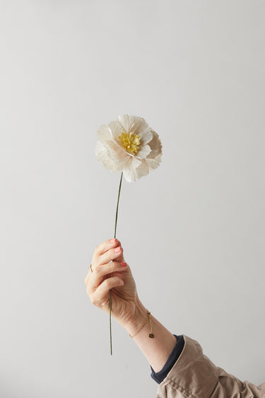 PAPER FLOWER, PEONY, GRAY
