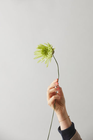 PAPER FLOWER, CHERRY FLUFF, GREEN