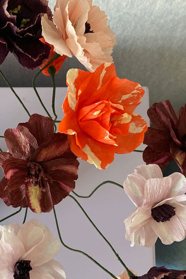 PAPER FLOWER, DAISY, BORDEAUX