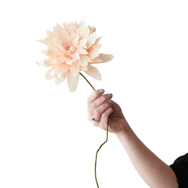 PAPER FLOWER, GRAND DAHLIA, NUDE, 160460N