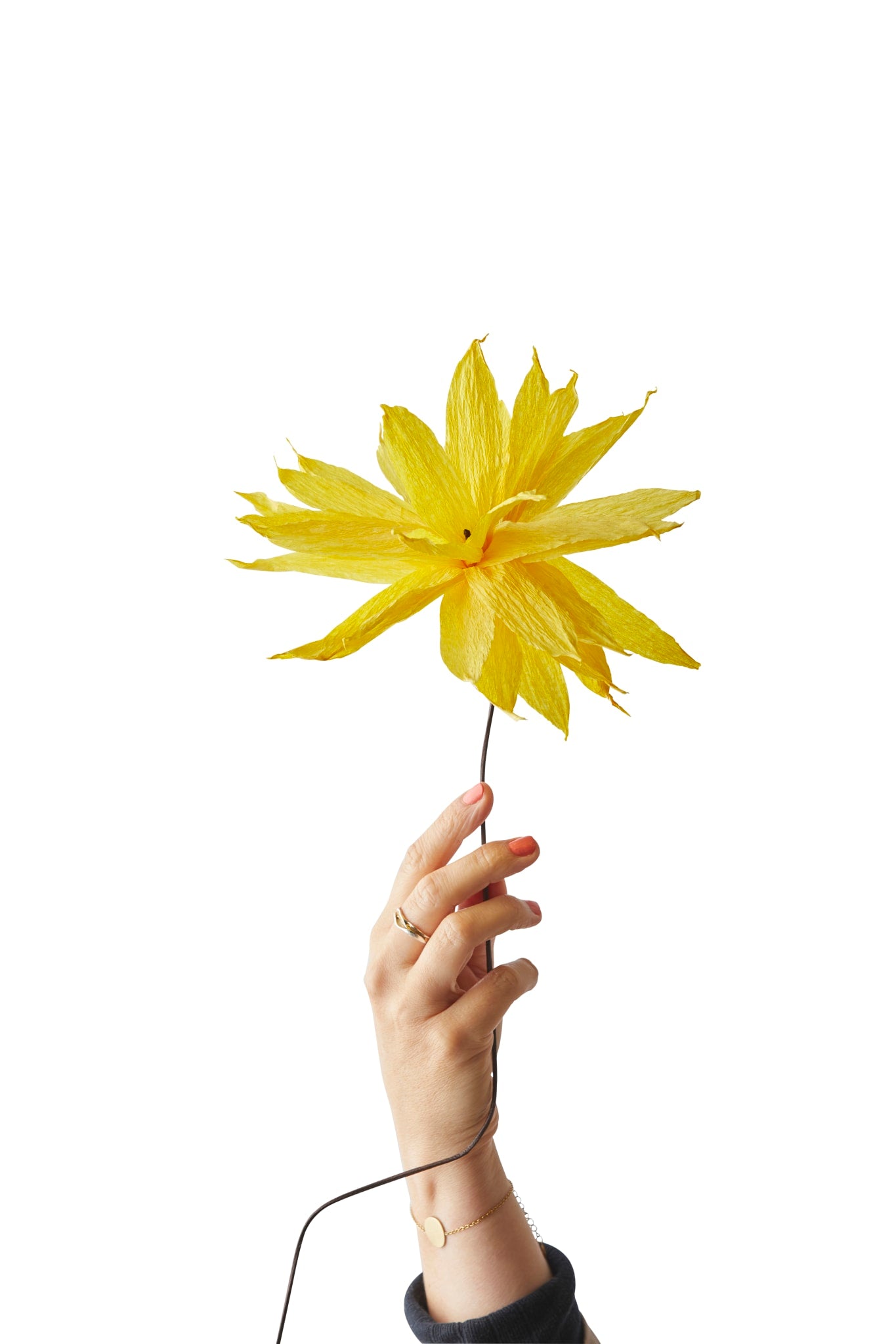 PAPER FLOWER, SHOOTING STAR, YELLOW