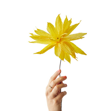 PAPER FLOWER, SHOOTING STAR, YELLOW