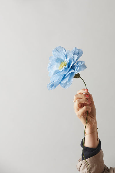PAPIERBLUME, GROSSE PFINGSTROSE, BLAU