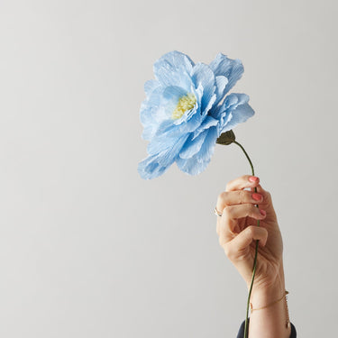 PAPER FLOWER, GRAND PEONY, BLUE