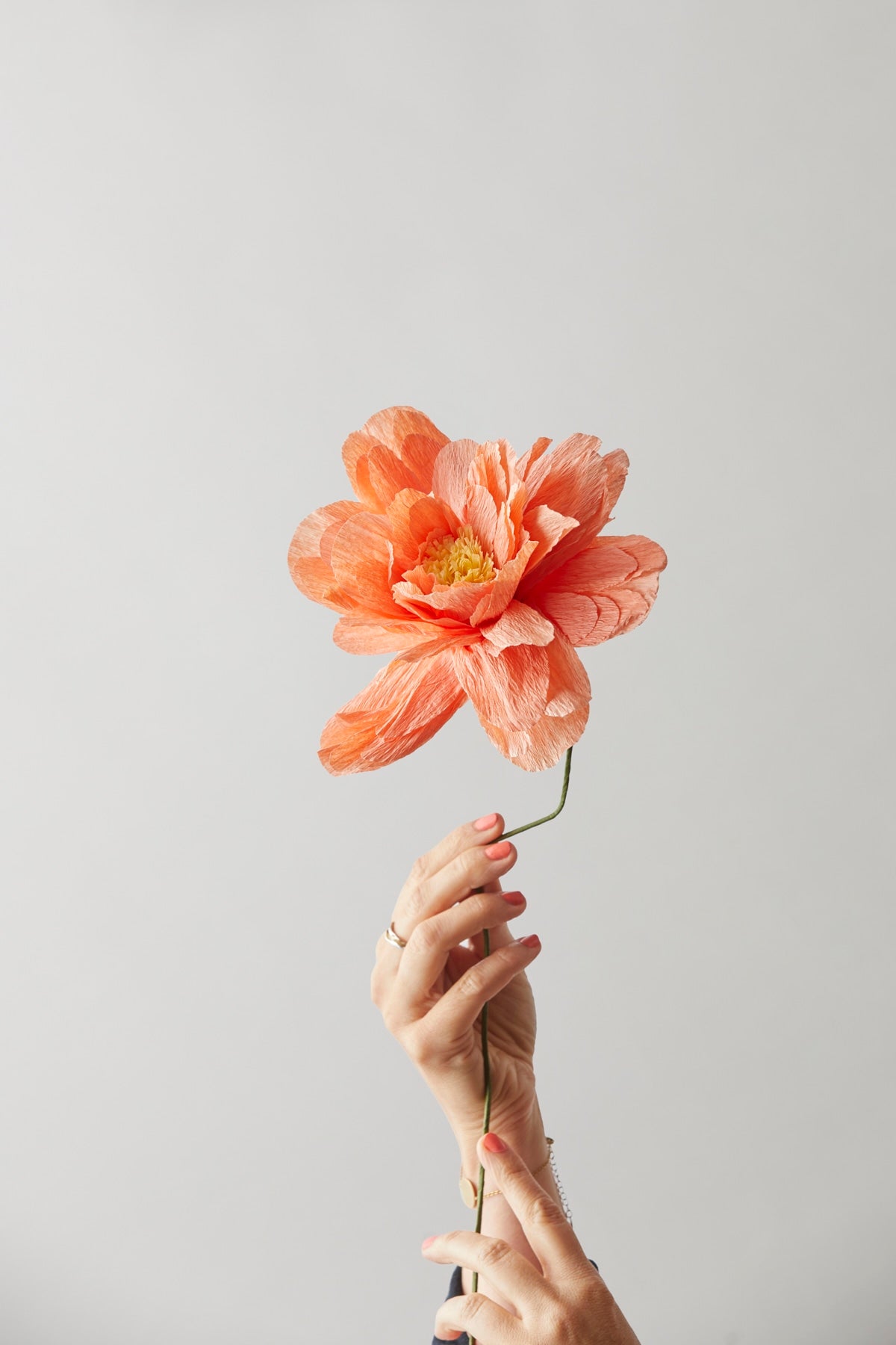 PAPER FLOWER, GRAND PEONY, PEACH, 170480P